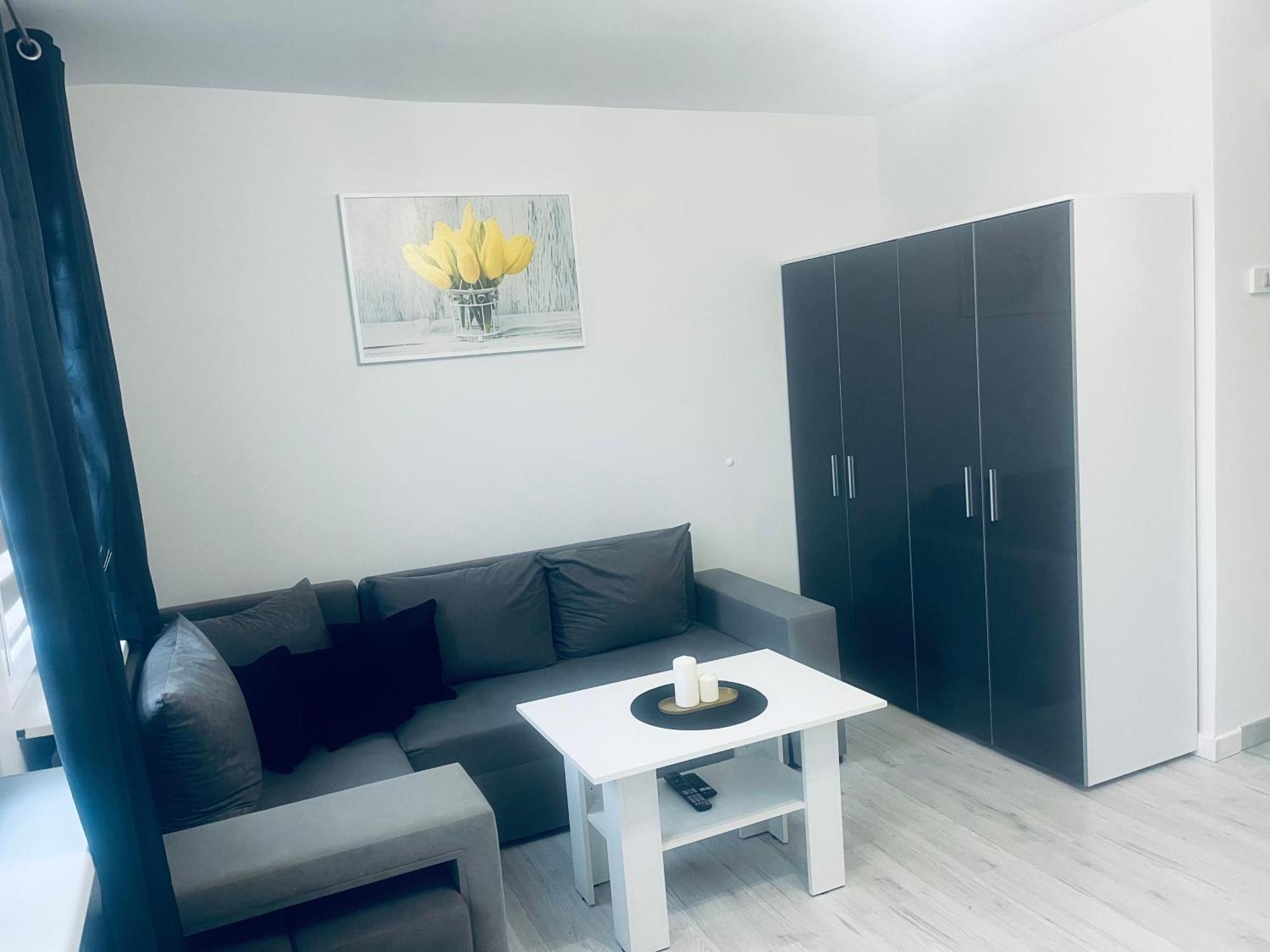 Silver Apartament Katowice Eksteriør bilde